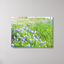 Roadside Bluebonnets Stretted Canvas Afdruk