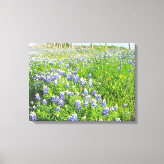 Roadside Bluebonnets Stretted Canvas Afdruk (Voorkant)