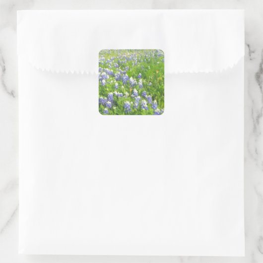 Roadside Bluebonnets Vierkante Sticker (Tas)
