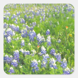 Roadside Bluebonnets Vierkante Sticker
