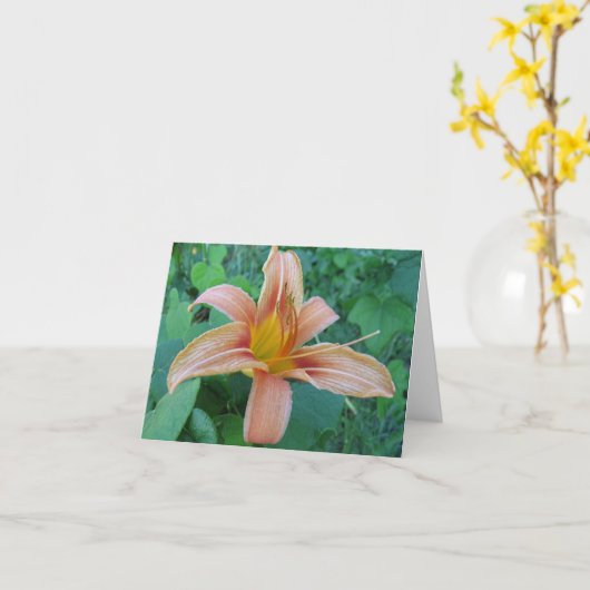 RoadSide Delicacy Note Kaart (Gele Bloem)