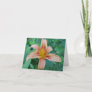 RoadSide Delicacy Note Kaart