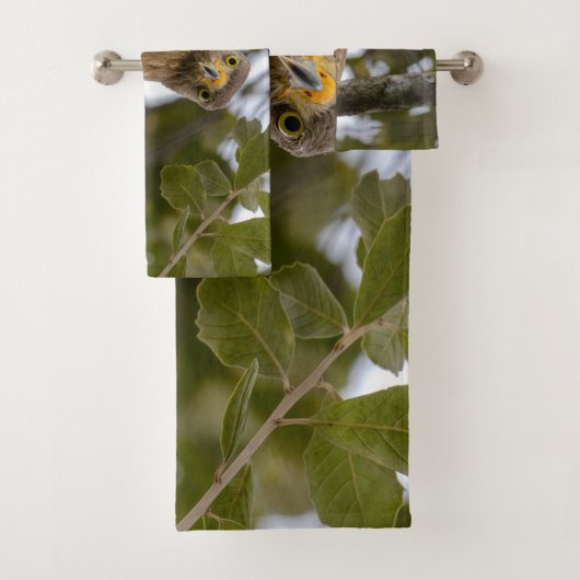 Roadside hawk, bruine vogelfotografie bad handdoek (Insitu)