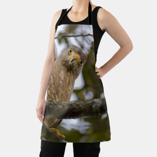 Roadside Hawk, Staring Bird Schort (Insitu)