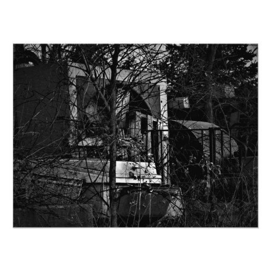 "Roadside Mishmash" Foto Afdruk (Voorkant)