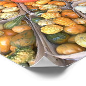 Roadside Squash Poster (Hoek)