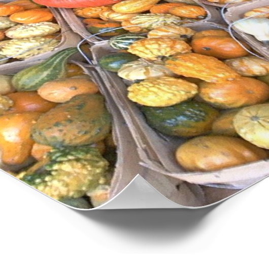 Roadside Squash Poster (Hoek)