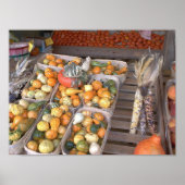 Roadside Squash Poster (Voorkant)