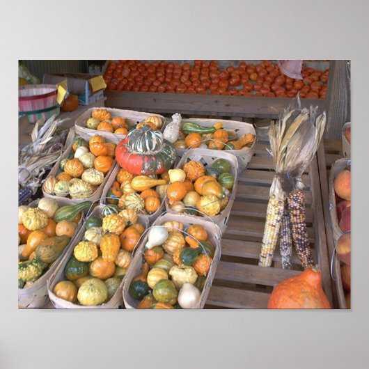 Roadside Squash Poster (Voorkant)