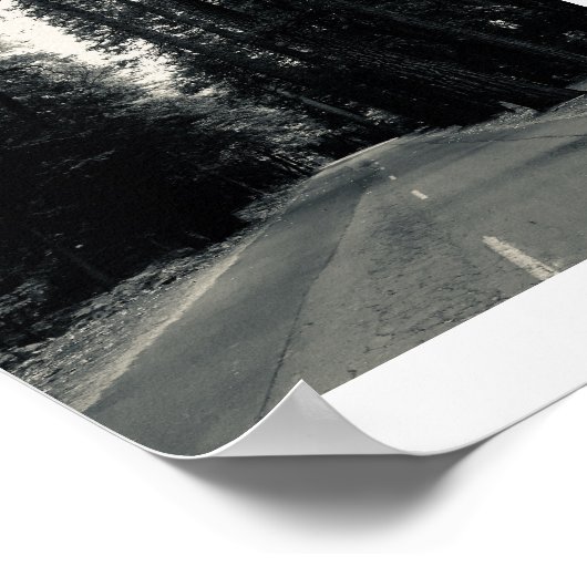 Roadside Wilds Zwart-wit Fotografie Poster (Hoek)