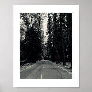 Roadside Wilds Zwart-wit Fotografie Poster