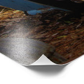 "Roadtripped" Foto Afdruk (Hoek)