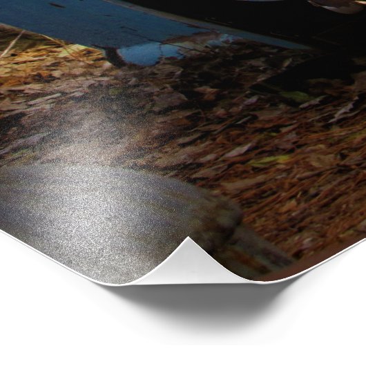 "Roadtripped" Foto Afdruk (Hoek)