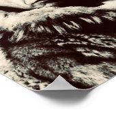 Roald Amundsen Poster (Hoek)