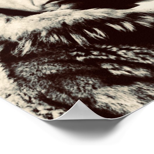 Roald Amundsen Poster (Hoek)