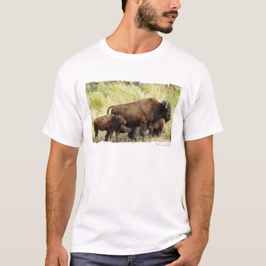 Roaming Buffalo-Mannen T-Shirt (Voorkant)