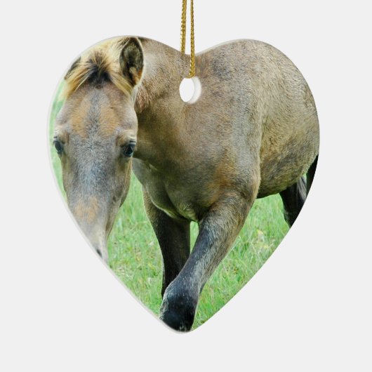 Roaming Roan Horse Ornament (Rechts)