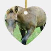 Roaming Roan Horse Ornament (Voorkant)