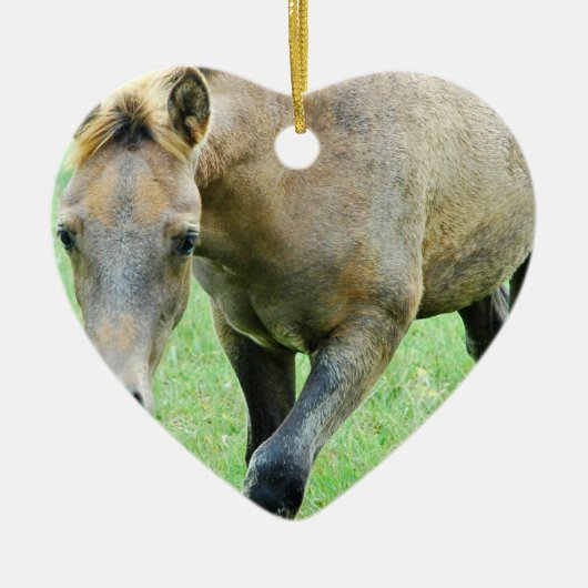 Roaming Roan Horse Ornament (Voorkant)
