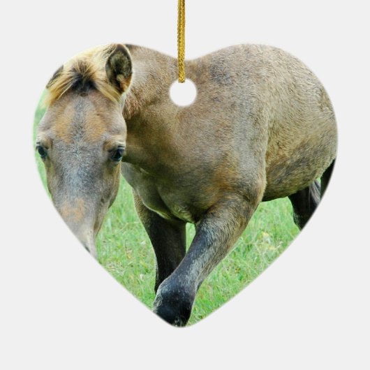 Roaming Roan Horse Ornament (Achterkant)