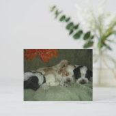 Roan Cocker spaniel puppies. Nap Time. Briefkaart (Staand voorkant)