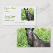 Roan Colt Visitekaartje