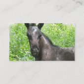 Roan Colt Visitekaartje