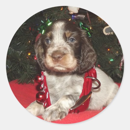 Roan Engels Springer Spaniel Kerstmis Puppy Ronde Sticker (Voorkant)
