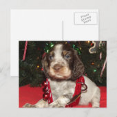 Roan Engelse Puppy van Kerstmis van het Spaniel Feestdagenkaart (Voorkant / Achterkant)