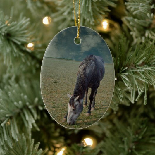 Roan Horse Grazing in Paddock Keramisch Ornament (Boom)