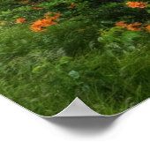 Roan Mountain Art Print (Hoek)