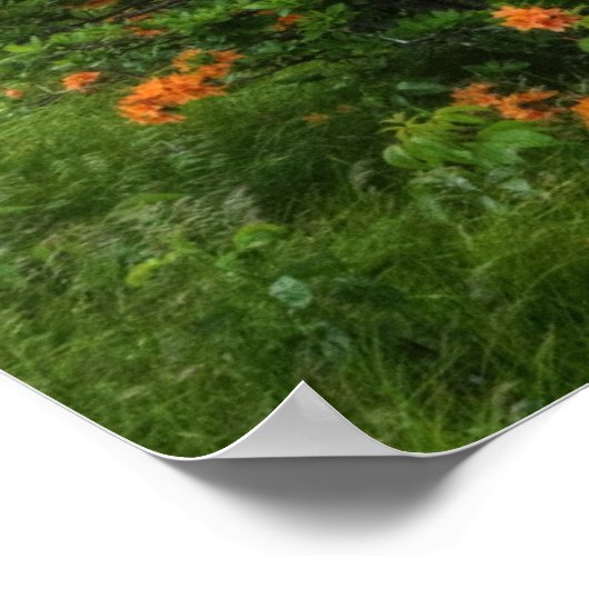 Roan Mountain Art Print (Hoek)