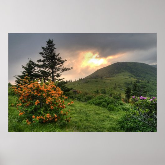 Roan Mountain Art Print (Voorkant)