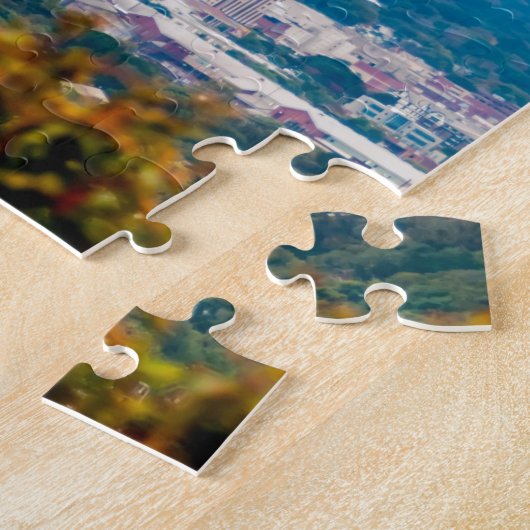 Roanoke Virginia Legpuzzel (Zijkant)