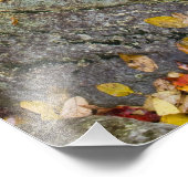Roaring Brook in de herfst in Vermont's Green Foto Afdruk (Hoek)