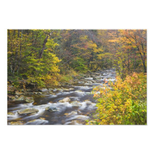 Roaring Brook in de herfst in Vermont's Green Foto Afdruk