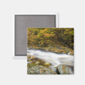 Roaring Brook in de herfst in Vermont's Green Magneet (Voorkant / Achterkant)
