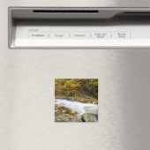 Roaring Brook in de herfst in Vermont's Green Magneet (Insitu (Vaatwasser))
