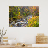 Roaring Brook in de herfst in Vermont's Green Poster (Keuken)