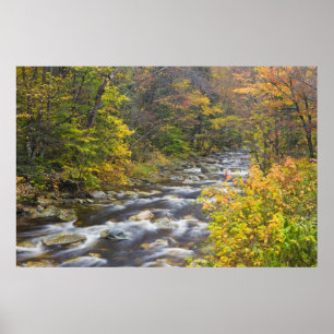 Roaring Brook in de herfst in Vermont's Green Poster