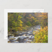 Roaring Brook in herfst in Vermont's Green 2 Briefkaart (Voorkant / Achterkant)