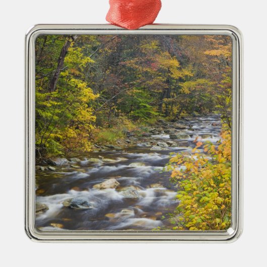 Roaring Brook in herfst in Vermont's Green 2 Metalen Ornament (Voorkant)