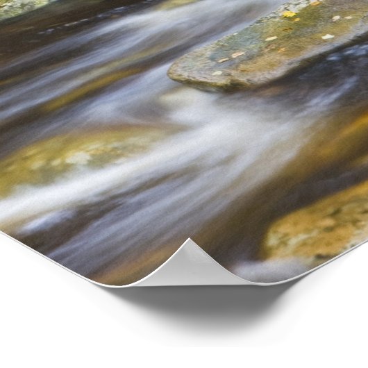 Roaring Brook in herfst in Vermont's Green 2 Poster (Hoek)