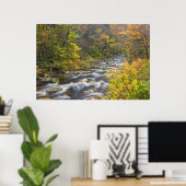 Roaring Brook in herfst in Vermont's Green 2 Poster (Thuiskantoor)