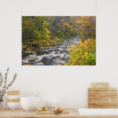 Roaring Brook in herfst in Vermont's Green 2 Poster (Keuken)