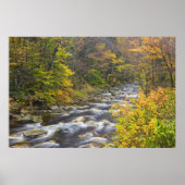 Roaring Brook in herfst in Vermont's Green 2 Poster (Voorkant)