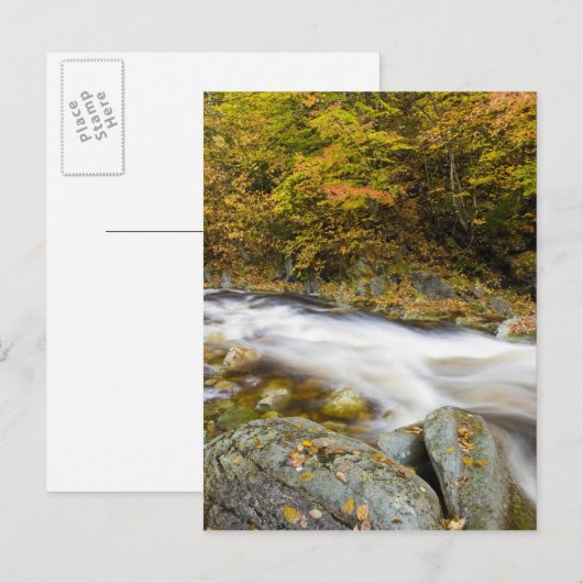 Roaring Brook in herfst in Vermont's Green Briefkaart (Voorkant / Achterkant)