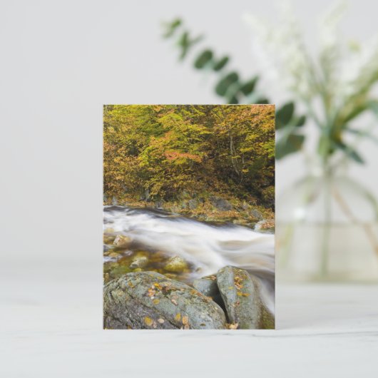 Roaring Brook in herfst in Vermont's Green Briefkaart (Staand voorkant)