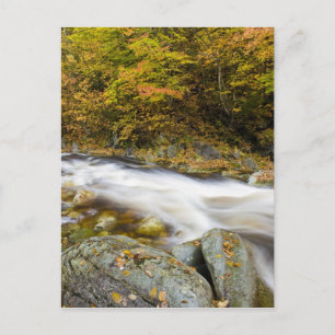 Roaring Brook in herfst in Vermont's Green Briefkaart