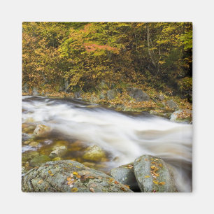 Roaring Brook in herfst in Vermont's Green Magneet